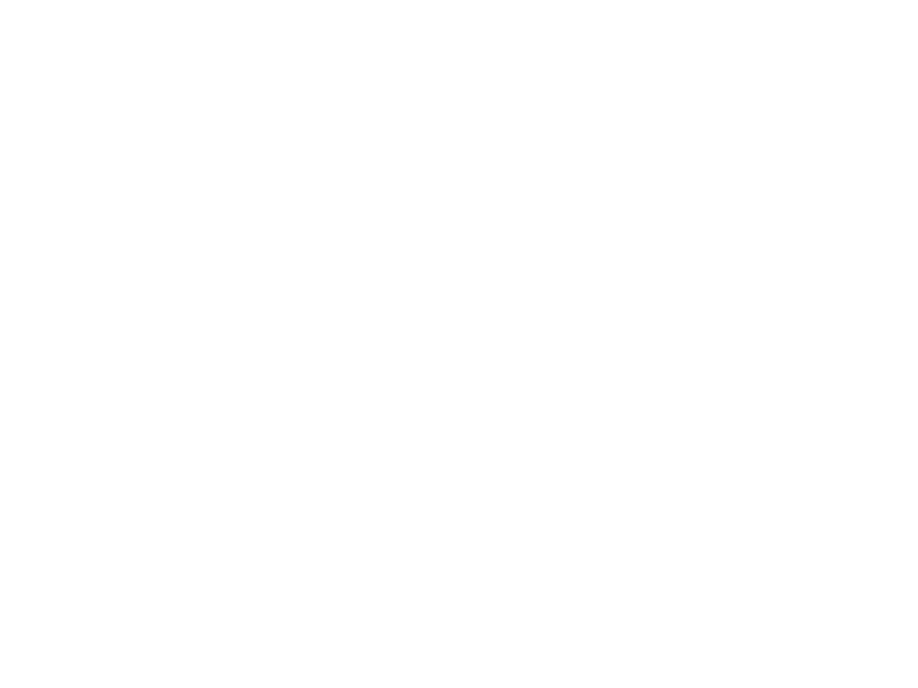 Lesotho Flour Mills logo