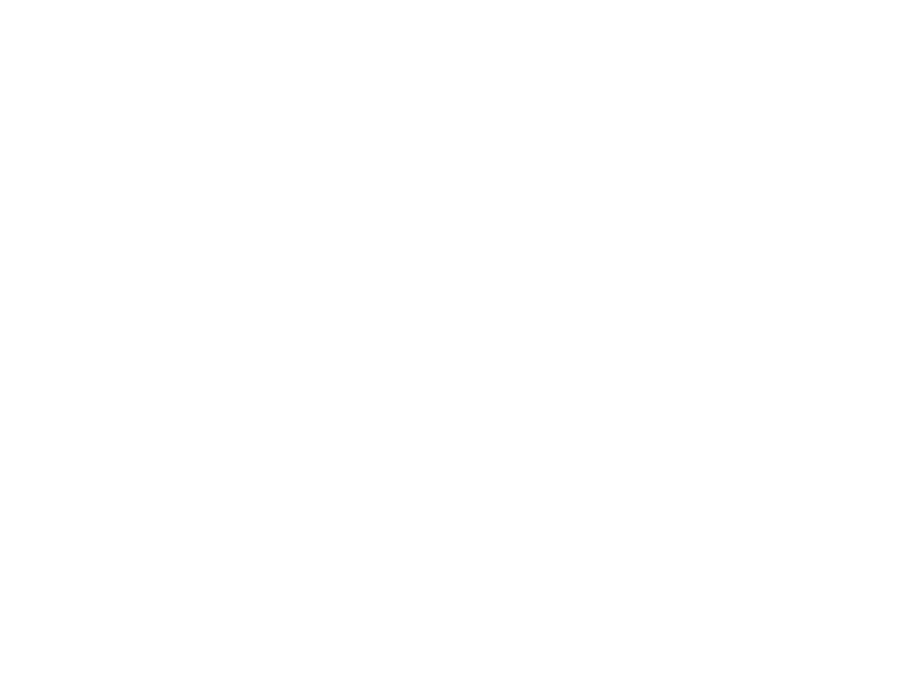 Sechaba Group logo